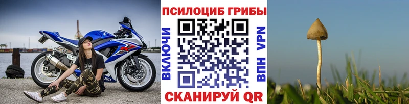 ссылка на мегу рабочий сайт  Ленинградская  Галлюциногенные грибы MAGIC MUSHROOMS 